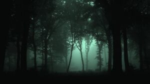 Dark Forest Wallpaper HD