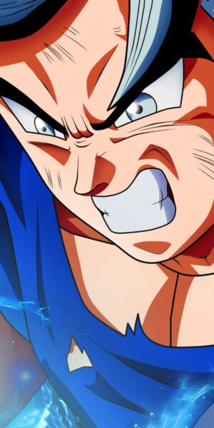 Mui Goku Wallpaper