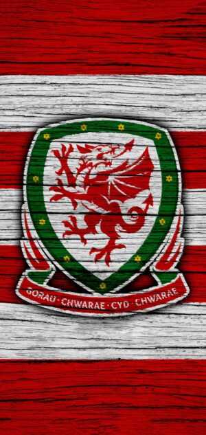 Wales Football Wallpaper