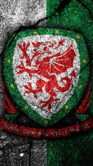 Wales Football Wallpaper