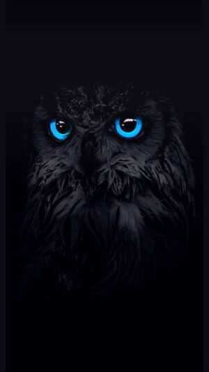 Blue Eyes Wallpaper