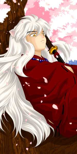 Inuyasha Wallpaper