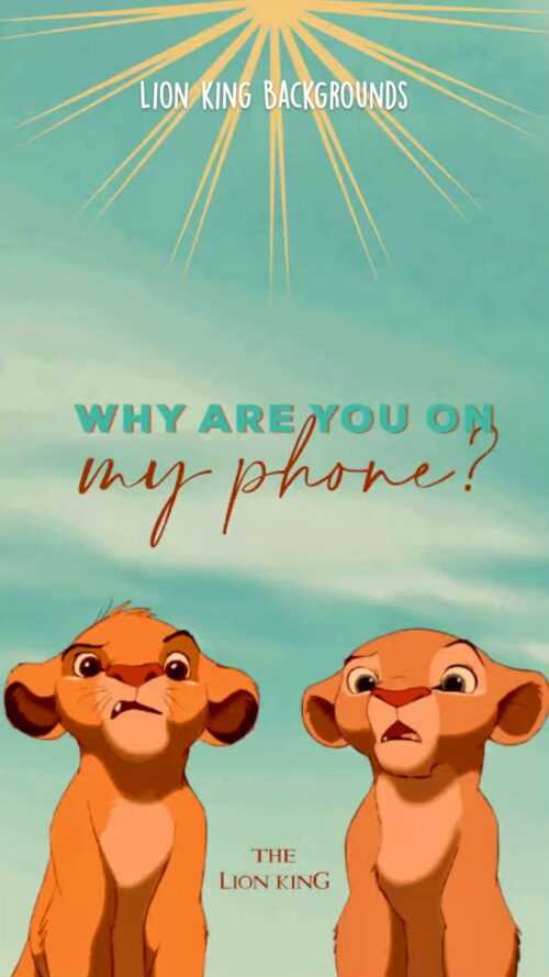 Simba Lion King Wallpaper iXpap