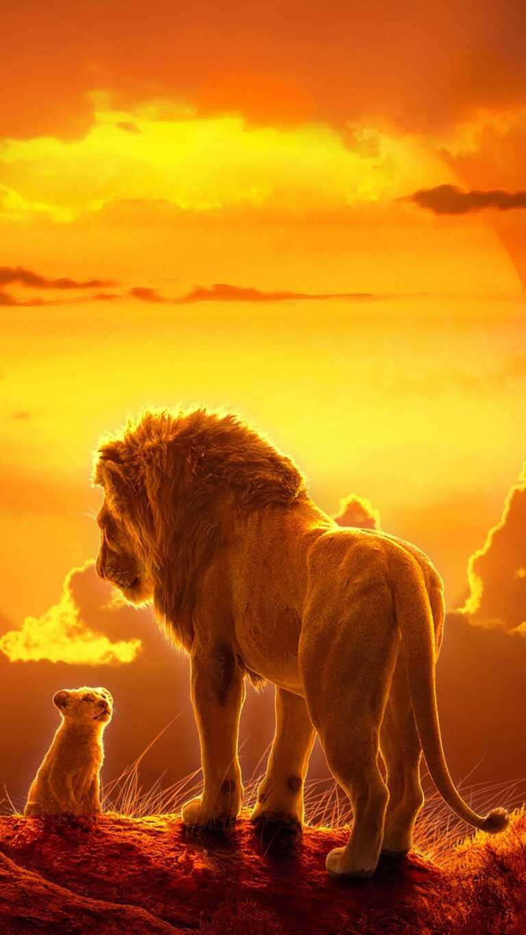 Lion King Wallpaper iXpap