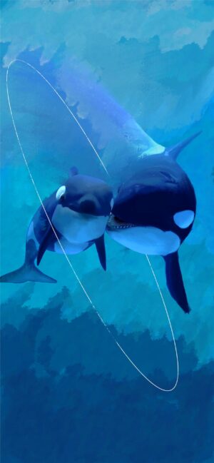 Orca Wallpaper