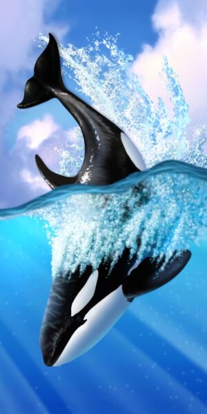 Orca Wallpaper