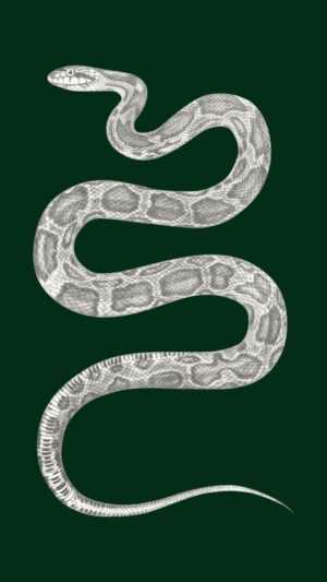 Slytherin Wallpaper