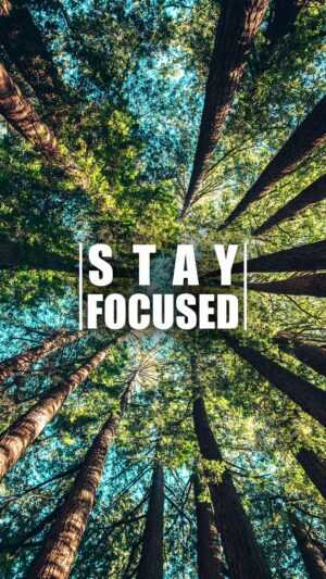 Stay Focused Wallpaper