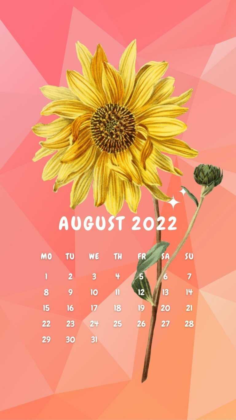 August 2022 Calendar Wallpaper iXpap