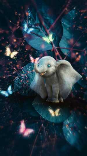 Baby Elephant Wallpaper