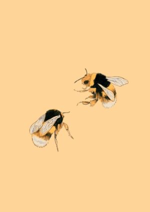 Bee Wallpaper