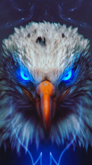 Eagle Wallpaper