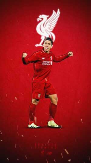 Firmino Wallpaper