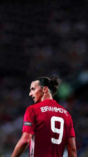 Ibrahimovic Wallpaper