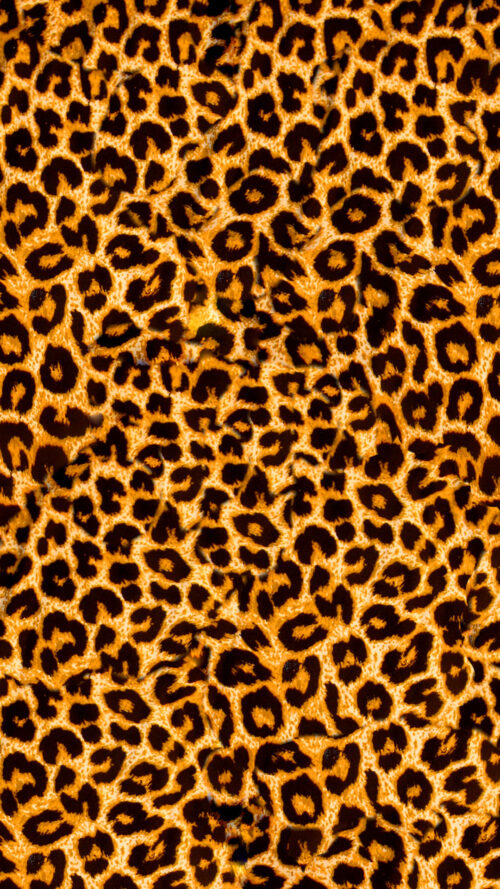 Leopard Print Wallpaper iXpap