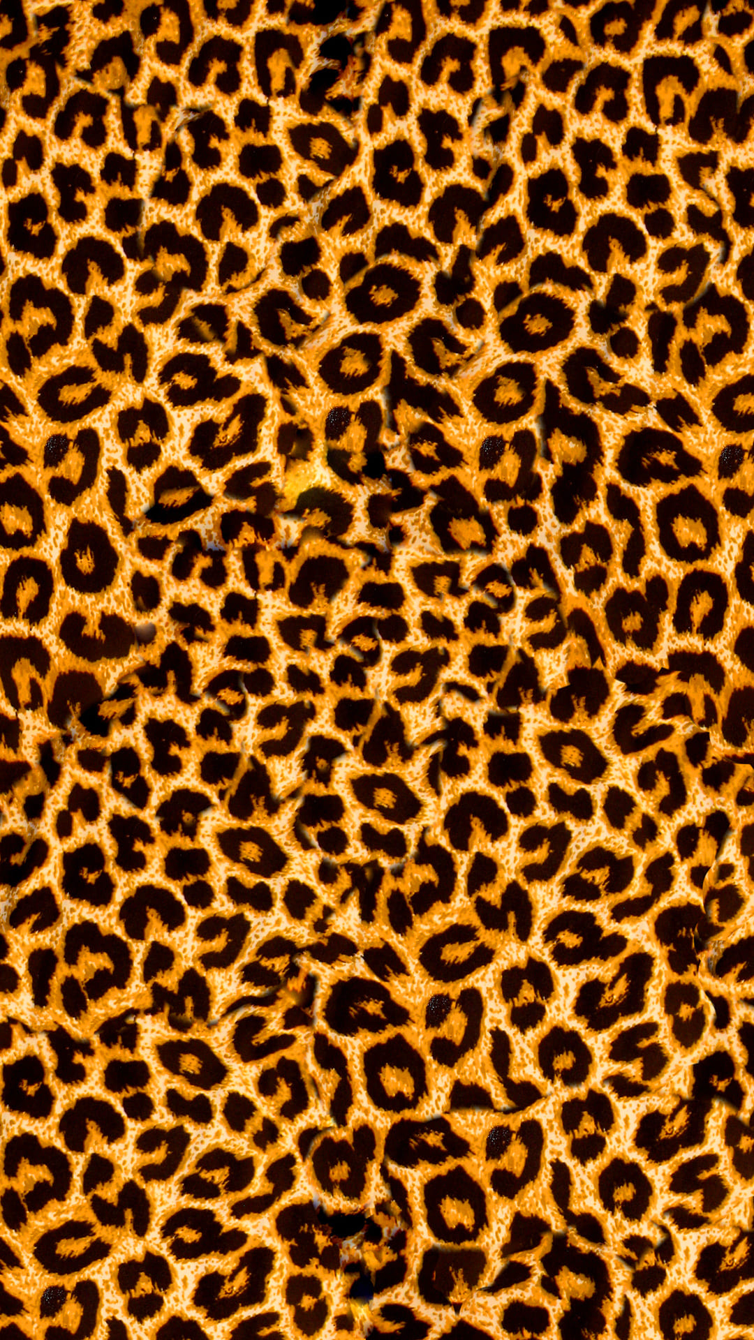 Leopard Print Wallpaper B M At Katrina Cowley Blog Leopard Print Wallpaper B M At Katrina Cowley Blog