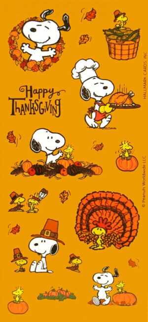 Charlie Brown Thanksgiving Wallpaper