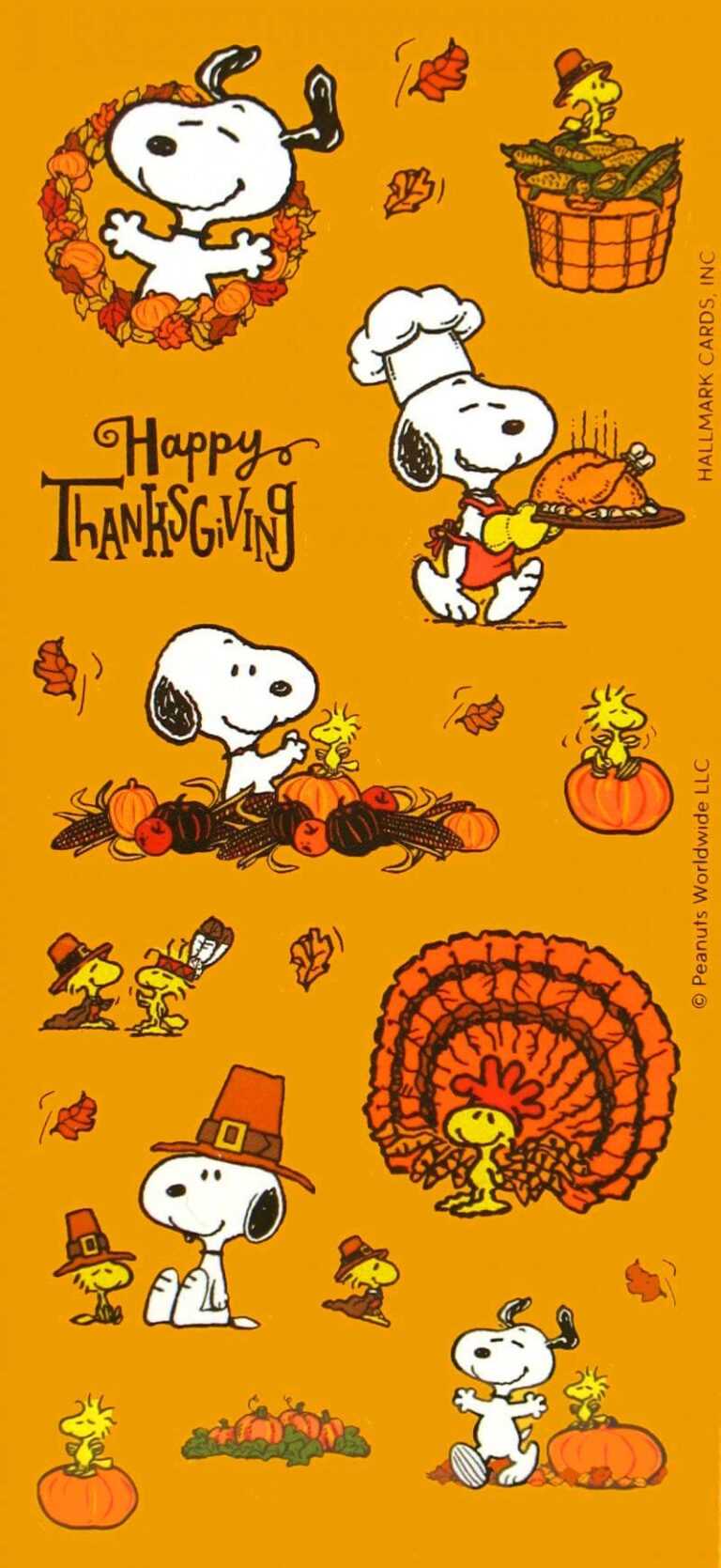 Charlie brown thanksgiving wallpaper ixpap
