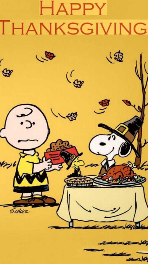 Charlie Brown Thanksgiving Wallpaper - iXpap
