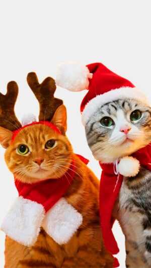 Christmas Animals Wallpaper