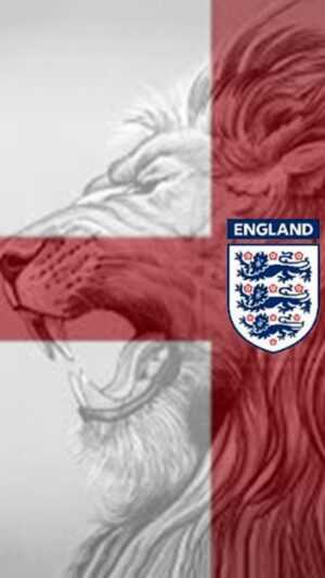 England Football Team Wallpaper