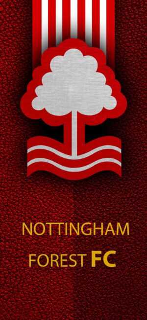 Nottingham Forest Wallpaper