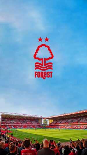 Nottingham Forest Wallpaper