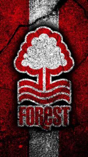 Nottingham Forest Wallpaper