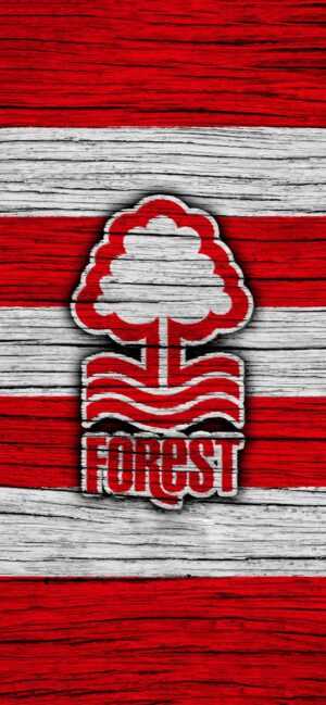 Nottingham Forest Wallpaper