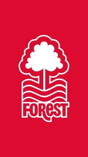 Nottingham Forest Wallpaper