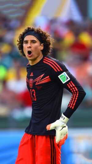 Ochoa Wallpaper