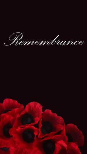 Remembrance Day Wallpaper