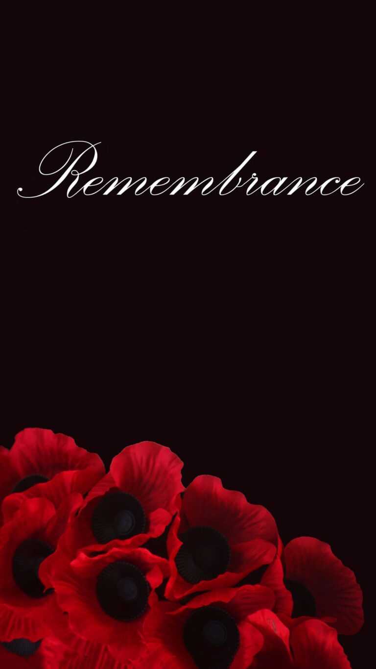 Remembrance Day Wallpaper - iXpap