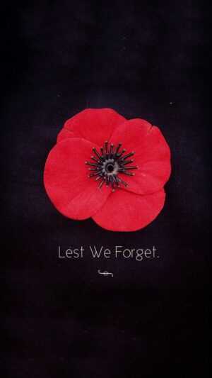 Remembrance Day Wallpaper