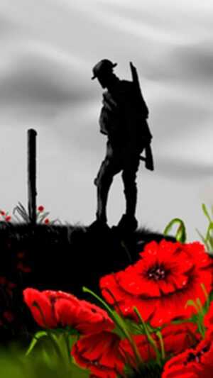 Remembrance Day Wallpaper