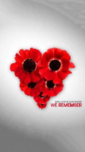 Remembrance Day Wallpaper