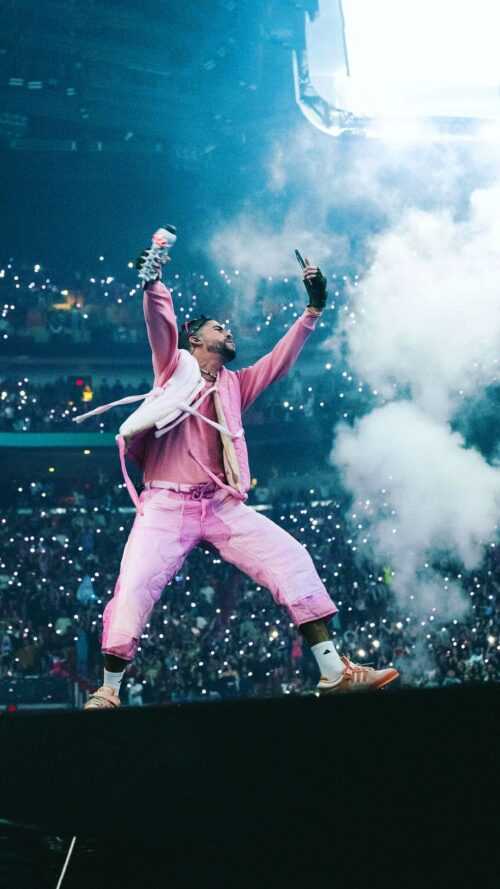 Bad Bunny Wallpaper - iXpap