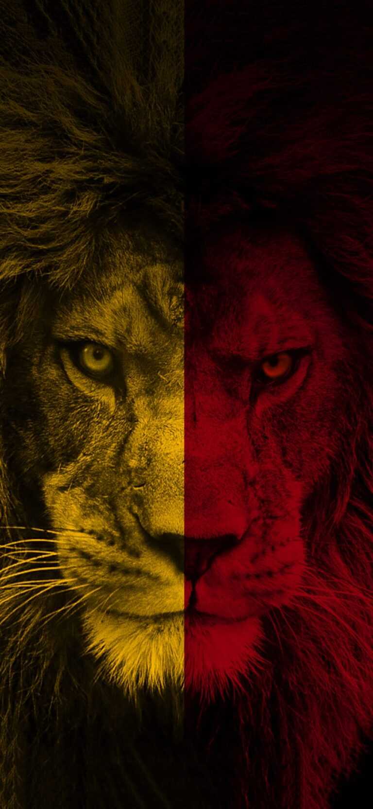 Galatasaray Wallpaper - iXpap