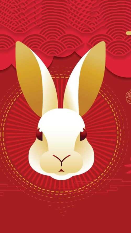 2023 Lunar New Year Wallpaper iXpap
