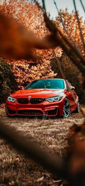 BMW M3 Wallpaper