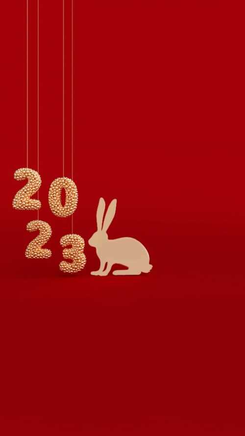2023 Lunar New Year Wallpaper iXpap