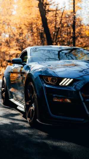 Mustang Shelby Wallpaper