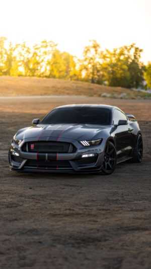 Mustang Shelby Wallpaper