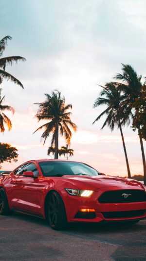 Mustang iPhone Wallpaper