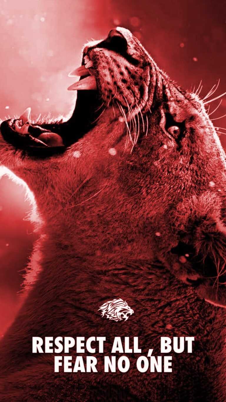 Sigma Male Wallpaper - iXpap