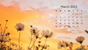 2023 March Calendar Wallpaper