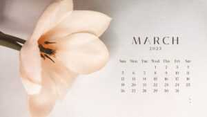 March Calendar 2023 Wallpaper