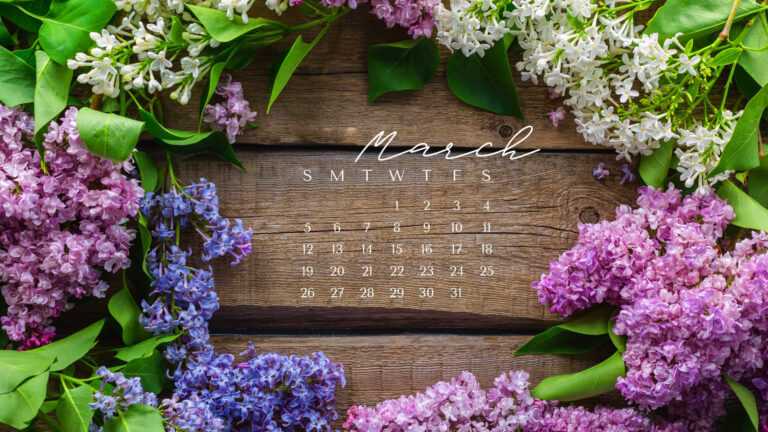 March Calendar 2023 Wallpaper - iXpap