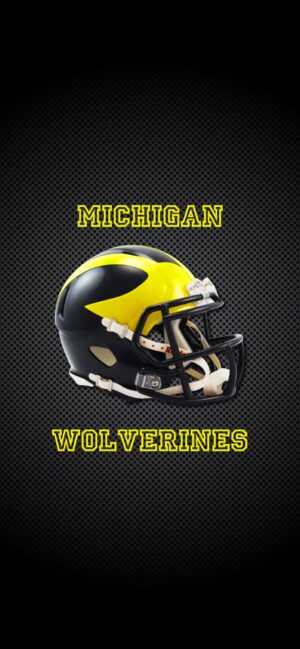 Michigan Wolverines Wallpaper