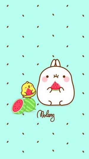 Molang Wallpaper